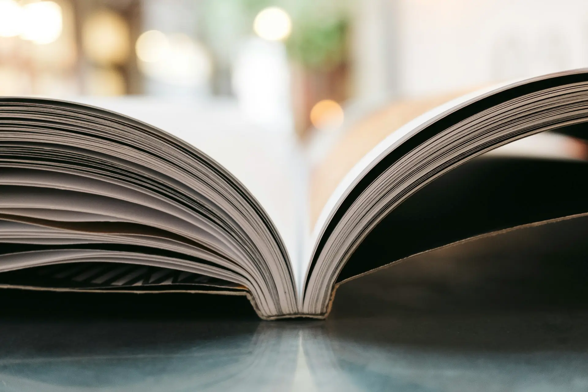 bokeh photography of open book